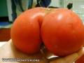 Pomidorek...