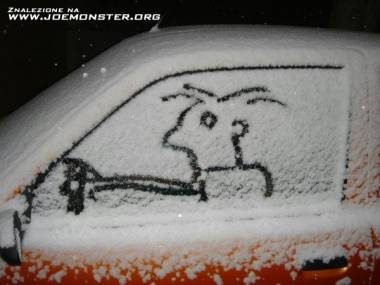 Zimowy kierowca