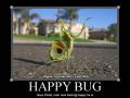Happy Bug