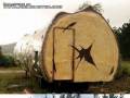 Drewniana przyczepa campingowa