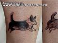 Psie tatuaże