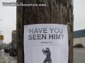 Ktoś go widział?