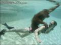 Podwodna małpa