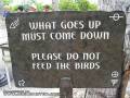 Nie karmić ptaków...