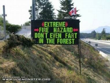 Nie pierdź w lesie.