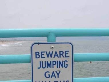 "Uwaga na morsa geja!"
