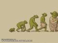 Ewolucja Yody