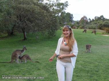 Bezwstydne kangury