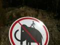 Nie deptać mamutów!