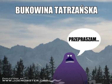 Grzeczny potwór w polskich górach