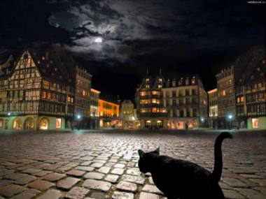 W ciemną noc czarny kot