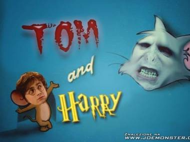 Zwariowane przygody Toma i Harry'ego