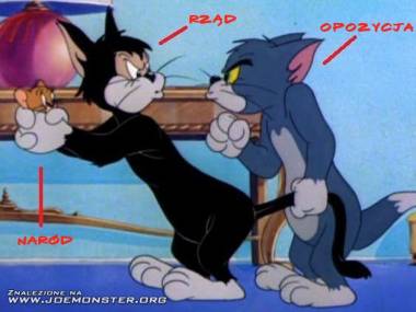 Korelacje społeczne na przykładzie Toma i Jerry'ego