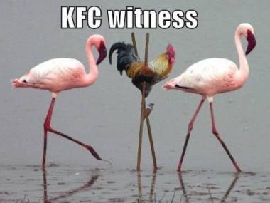 Program ochrony świadków KFC