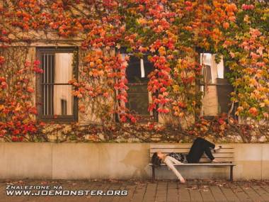 Odpoczynek w kolorach jesieni