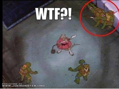 Gdy dwa żółwie walczą, dwa się zabawiają