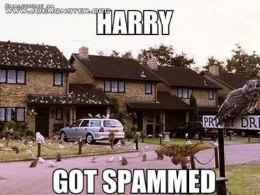 Harry dostał spam