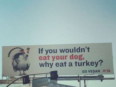 Skoro nie jesz psa to dlaczego jesz indyka?
