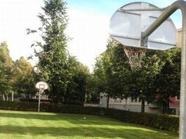 Koszykówka na trawniku