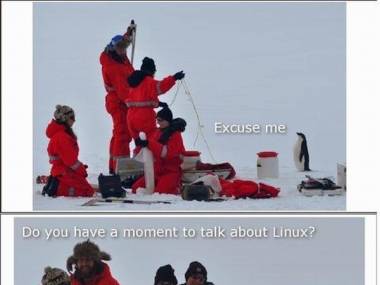 Nawet na Antarktydzie cię znajdą
