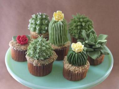 Wcinaj słodkie kaktusy