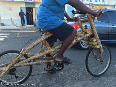 Afrykański rower drzewny