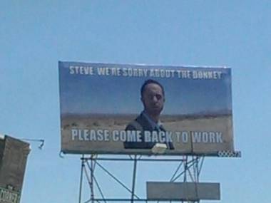 Hej Steve, za jakiego osła oni cię przepraszają?