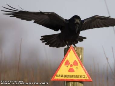 Witajcie w Czernobylu