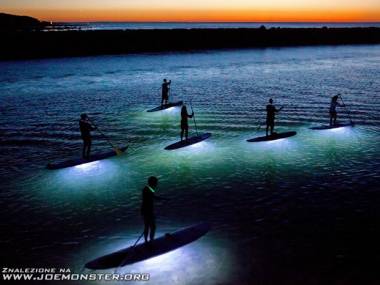 Żarówki LED zamontowane na spodzie desek surfingowych, by móc w nocy obserwować podwodne życie