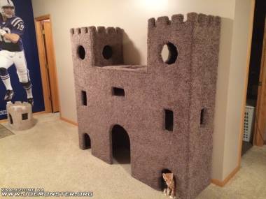 Zamek dla kociaków