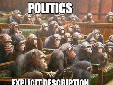 Politycy - jednoznaczna definicja