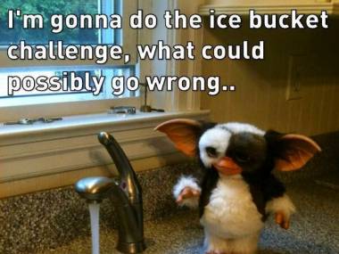 Wyzwanie ice bucket, co może pójść źle?