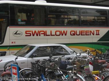 "Królowa Połyku" idealna nazwa dla autokaru wycieczkowego