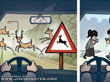 Uwaga, jelenie!
