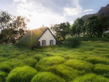 Dom tonący wśród zieleni