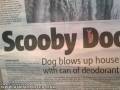 Scooby Dooby Doom!