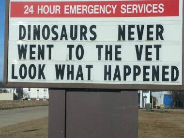Dinozaury nigdy nie były u weterynarza i patrzcie co się stało