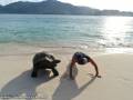 Próba zachęcenia żółwia do aktywności fizycznej