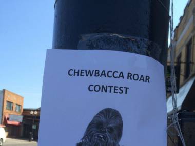 Konkurs na najlepszy ryk Chewbacci