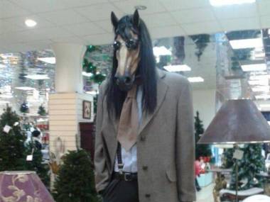 Ten garnitur nie będzie leżał na tobie tak dobrze jak na tym koniu
