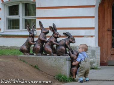 Chciał pomóc króliczkowi
