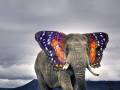 Krzyżówka słonia i motyla