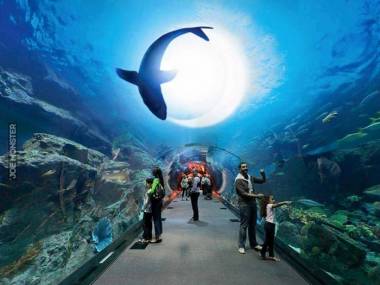 Akwarium w Dubaju