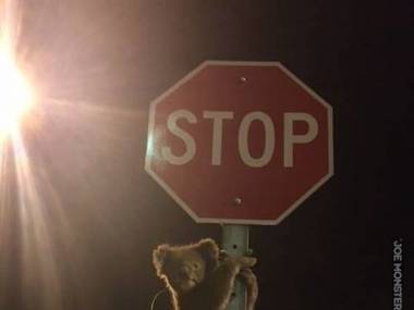 Koala podpowiada: "Zatrzymaj się!"