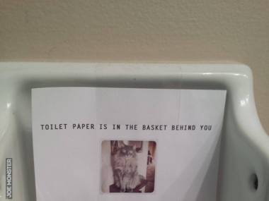 Papier toaletowy jest z tyłu w koszu. Podziękuj kotu.
