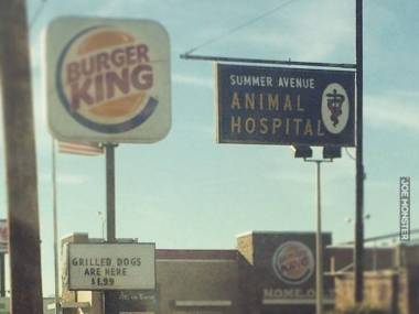 Grilled dogs i Burger King przy szpitalu dla zwierząt. Przypadek?