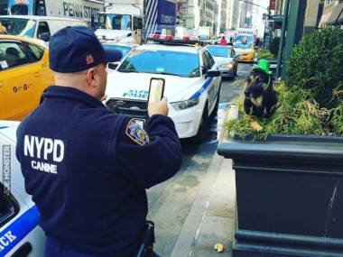 Policjant i jego pies celebrowali dzień Św Patryka