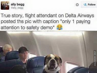 Pilot Delta Airways umieścił to zdjęcie na swoim profilu
