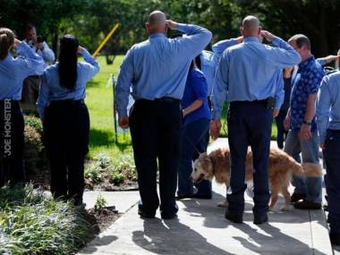 Bretagne - ostatni żyjacy pies, który brał udział w akcji ratunkowej w WTC w drodze na eutanazję