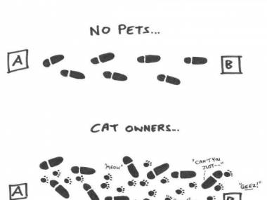Ludzie bez zwierząt vs właścicele kotów